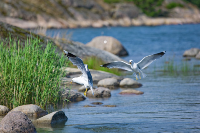 EKE Rakennus Oy | Espoo