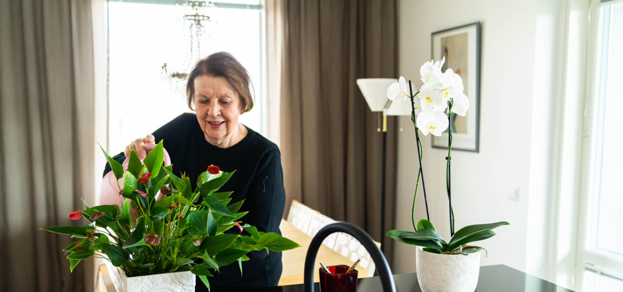 Asukastarina Piispanportin Helmi