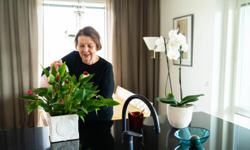 Asukastarina Piispanportin Helmi